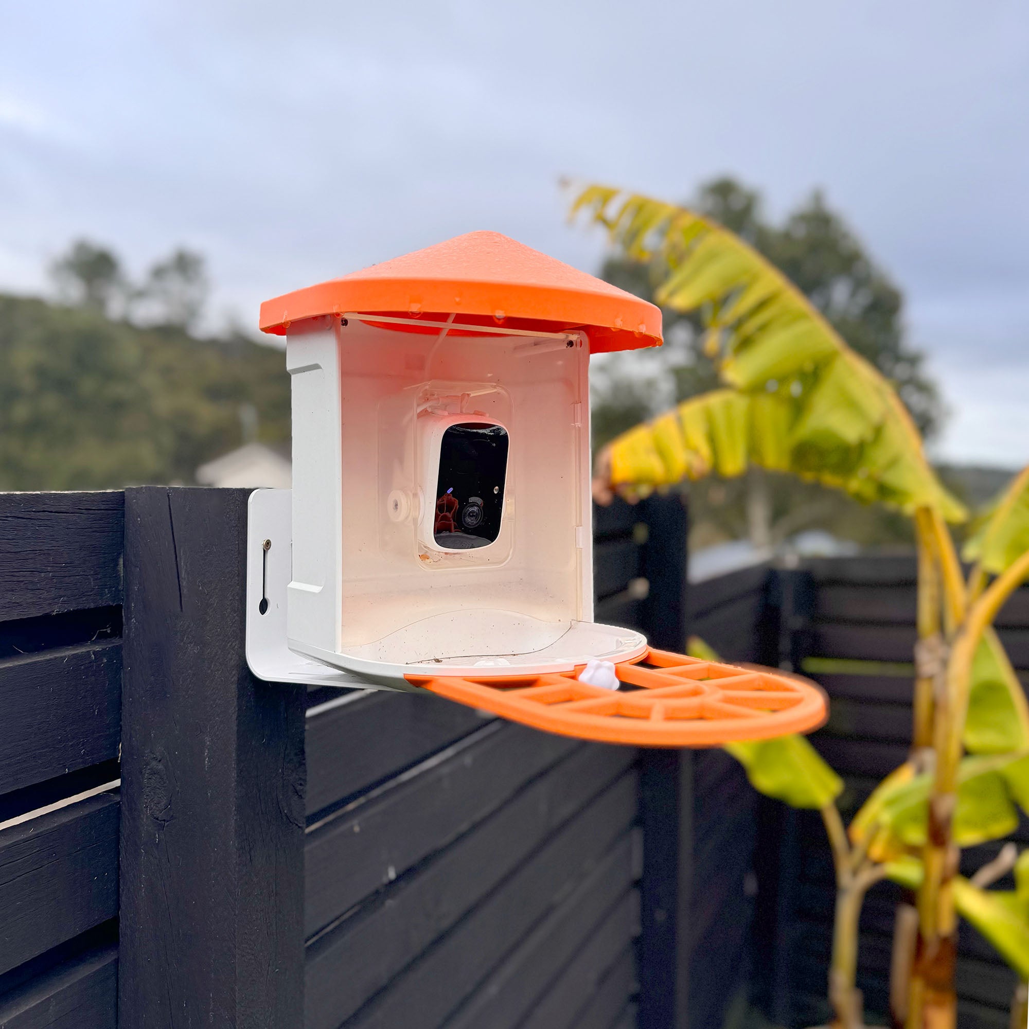 iTron BirdCAM WiFi Bird Watching Camera