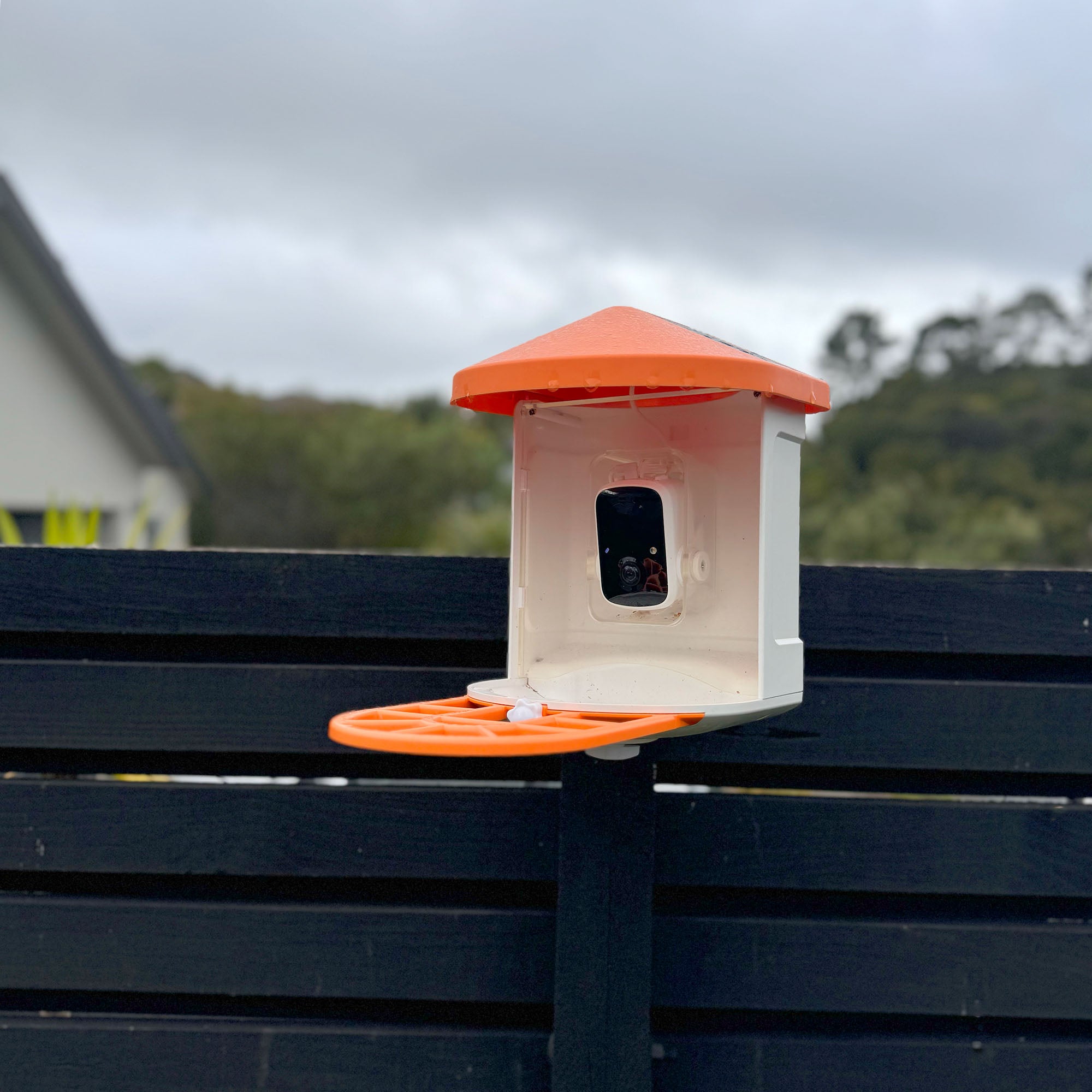 iTron BirdCAM WiFi Bird Watching Camera